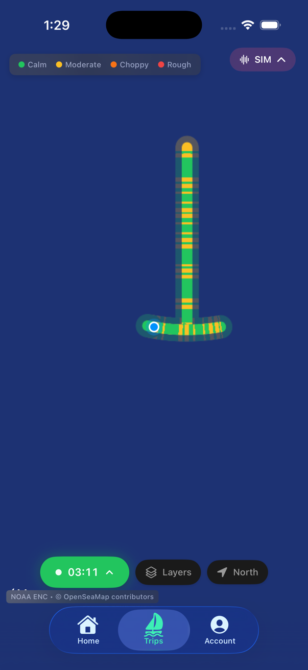 Good Buoy anchor alarm showing visual anchor drag tracking with swing pattern overlay on nautical chart